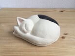 眠り猫の蓋もの（ぶち）の画像