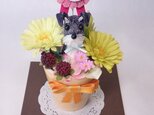 お花で作ったワンちゃん「ちいさな友だち　～　ミニチュア・シュナウザー　～　」カラー陶器アレンジ（再販）の画像