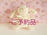 お客様ご予約品  かわいい小鳥の鍋つかみ（白と茶色の花柄）の画像