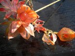 【再販】秋へ（鬼灯と紅葉のかんざし）の画像