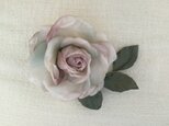 ピンクパールの薔薇