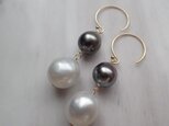 【ご専用】K14GF double tahitian pearl pierceの画像