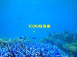 YOUKO様専用