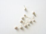 fusa shiro(片耳)の画像
