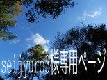 八ヶ岳〜 seijyuro3様専用ページの画像