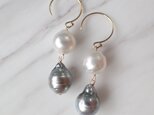 K14GF double tahitian pearl pierceの画像