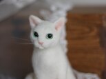 おしゃれ　白猫。。。ふんわり。羊毛フェルトの画像
