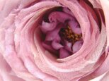 2種シルク使いの巻き薔薇ばら ピンクパープル * コサージュの画像