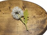 染花✳︎綿毛のブローチの画像