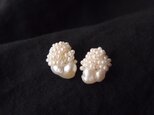 【真珠の刺繍ピアス】petit baroque × seed pearl・１点物
