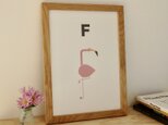 F for Flamingo A4サイズポスター（A3サイズあり！）の画像