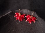 【K14gf・受注制作】Redcoral・赤珊瑚のプチピアス（Mini）の画像