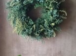 再販 : フレッシュグリーンのクリスマスリースの画像