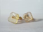 glass FLOWER【earrings】09の画像