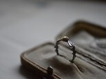 dandelion ringの画像