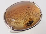 デンドリック Dendritic Quartz Ring ⑩