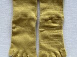 ５finger socks 小　コブナグサ:鉱物染めー淡い黄色の画像