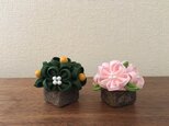桜橘 (い) 雛飾り の画像