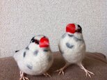 [リクエスト]　asae*　文鳥グッズ（羊毛フェルト）の画像