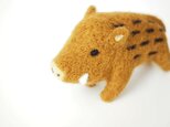 いのししの画像