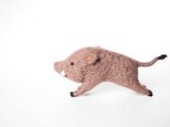 いのしし(run)の画像