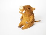 いのしし(座り・はなうた)の画像