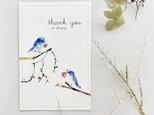 青い小鳥のカード　＊リニューアル