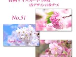 No.51  桜　　  名刺サイズサンキューカード  30枚の画像