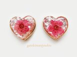 ドライフラワー入りハートピアス