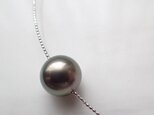 SILVER925 tahitian pearl necklaceの画像