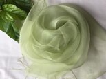 【桑の葉染め】シルクオーガンジーストール 黄浅緑　53cm巾の画像