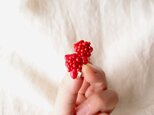 【ご予約品・M様／天然石の刺繍イヤリング】red coral mix