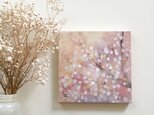 春の18cm panel・白い梅の画像