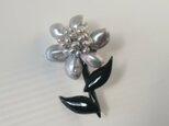 シルバーグレーの真珠花の画像