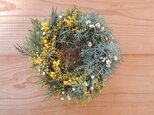 瀬戸内ミモザと針葉樹のリース