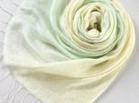 二重紗シルク＊白緑色×淡檸檬色＊レーヨンシルクストール