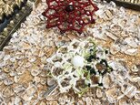 新色追加！天然石のマクラメ編みヘアピン【ダリア】ホワイト系・ムーンストーンの画像