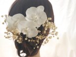 【プリザーブドフラワー/本当の胡蝶蘭とかすみ草の髪飾りヘッドドレス】の画像