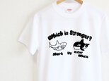 サメとシャチはどっちが強いの？Ｔシャツ　メンズタイプの画像