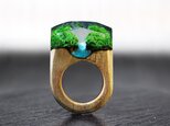 【送料無料】Forest River ～Resin Wood Ring～の画像