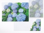 紫陽花レターセット（トレーシング封筒）の画像