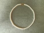 真珠のネックレスの画像