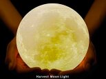 Harvest Moon Light - 恵みをもたらす月 - / 月ライト(大)【”秘密特典”付き♪】の画像