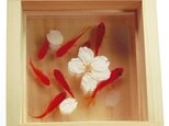 アクリルアート 「桜/sakura」★★春限定作品★★ 本物の桜×3D金魚 夏 ラッピング 父の日の画像