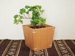 木製 鉢カバー クルミ材1　4号鉢用　植木鉢カバーの画像