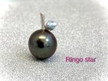 Ringo star 3（リンゴスター）の画像