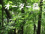 k...様オーダー品 ウォルナットの卓上スパイスラックの画像