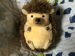ハリネズミの画像