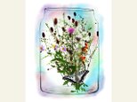 透明瓶シリーズ　夏から秋の花束の画像