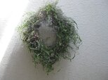 夏草のwreathの画像